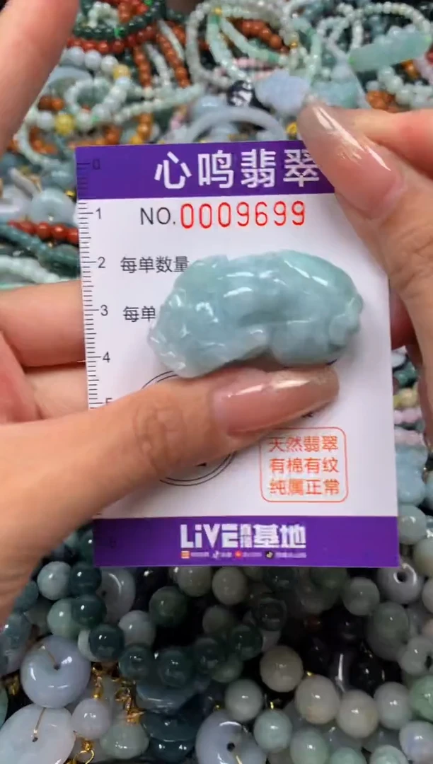 颈饰未镶嵌翡翠闪购009699