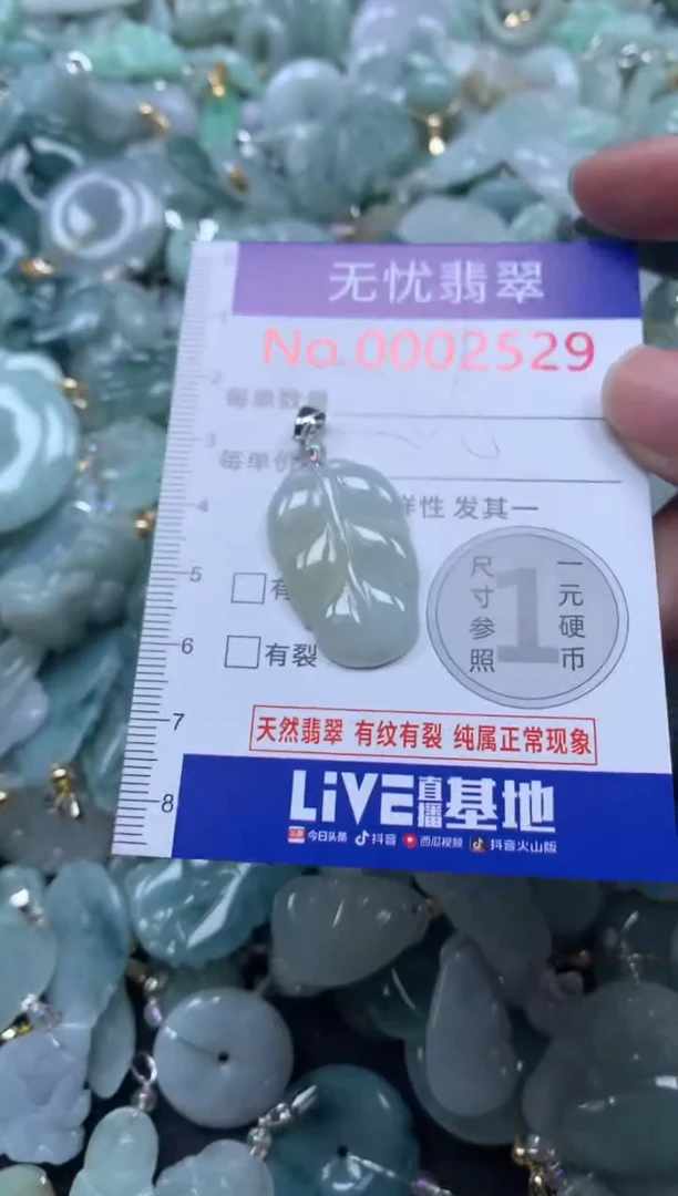 颈饰未镶嵌翡翠2529