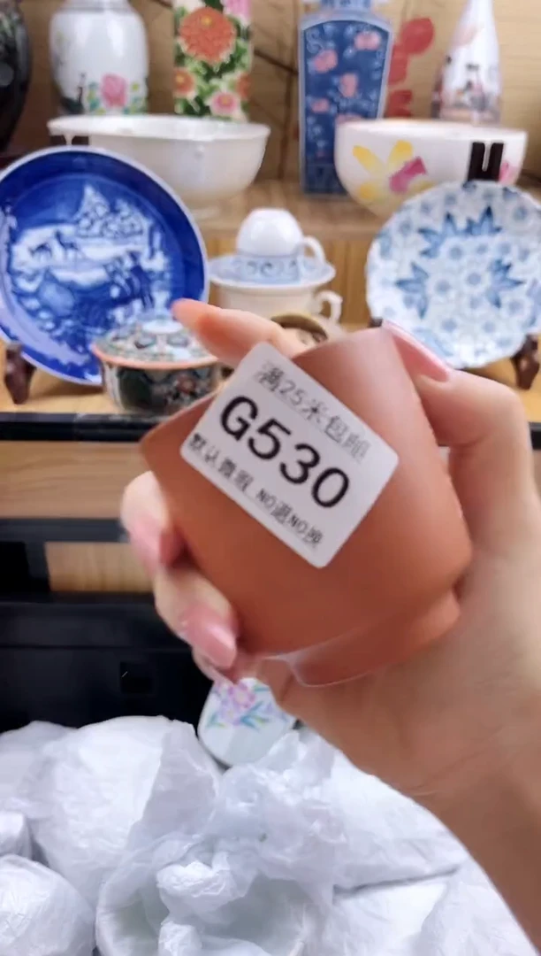 龍**涯==============g530