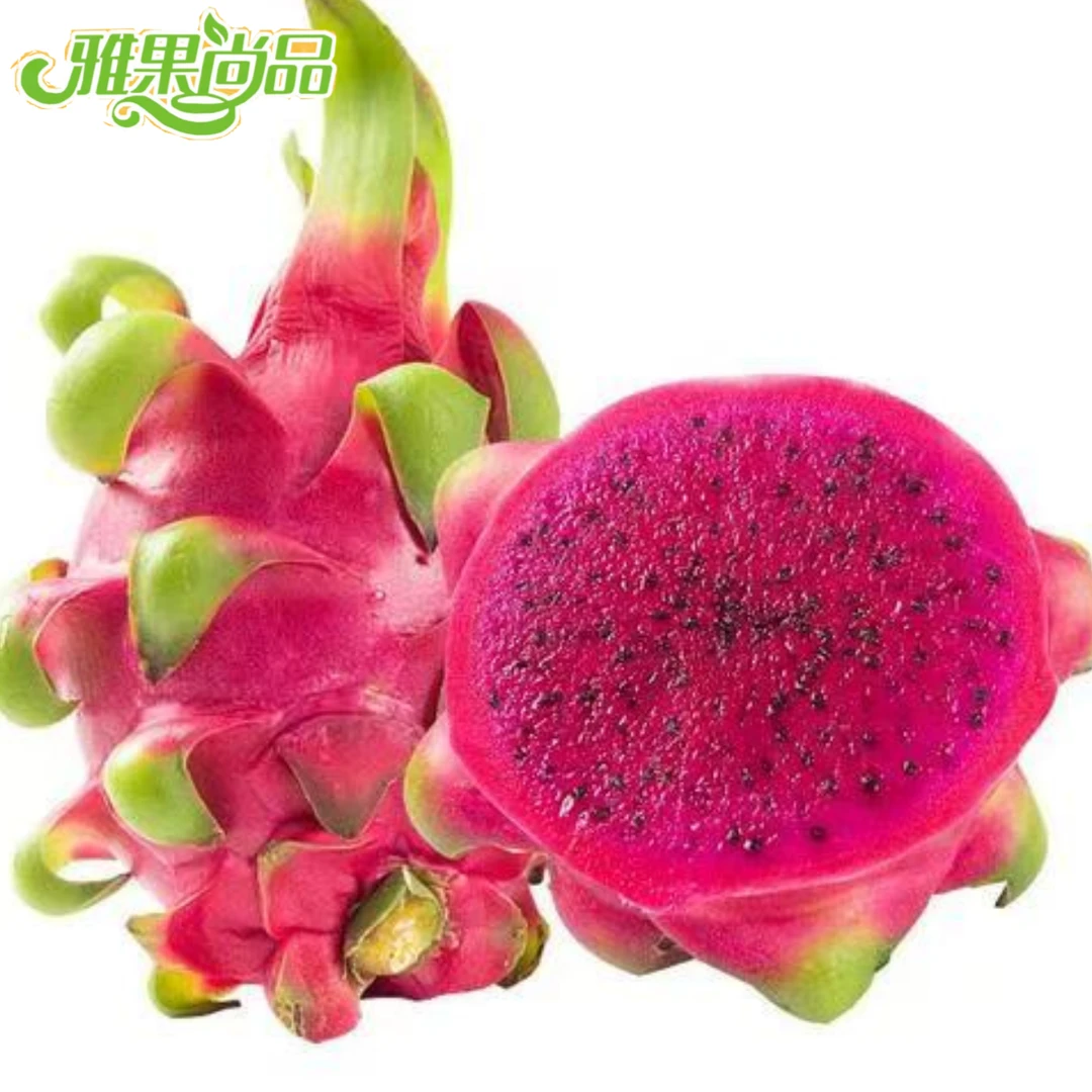 越南红心火龙果约1.5斤/个