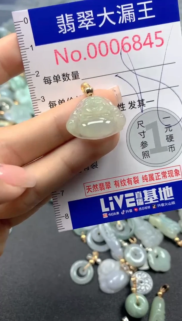 颈饰未镶嵌翡翠6845