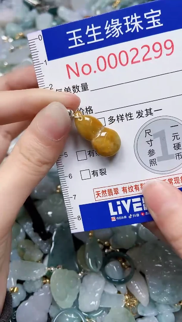 【闪购商品】翡翠颈饰未镶嵌闪购00002299