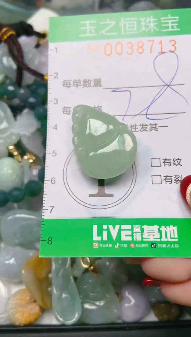 【闪购商品】翡翠颈饰未镶嵌闪购0038713