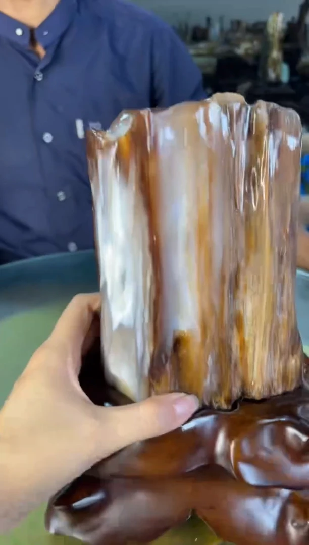 未镶嵌摆件硅化玉166