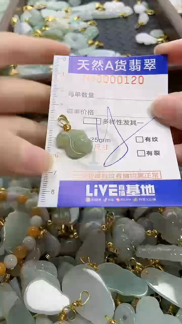 颈饰未镶嵌翡翠天然A货翡翠