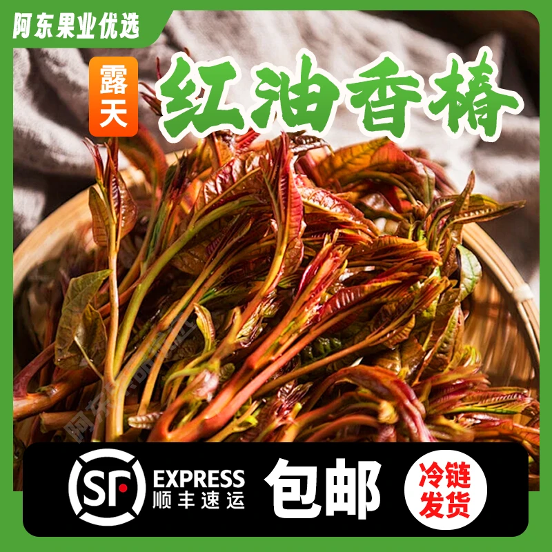 【顺丰包邮】红油香椿新鲜香椿芽现采现发