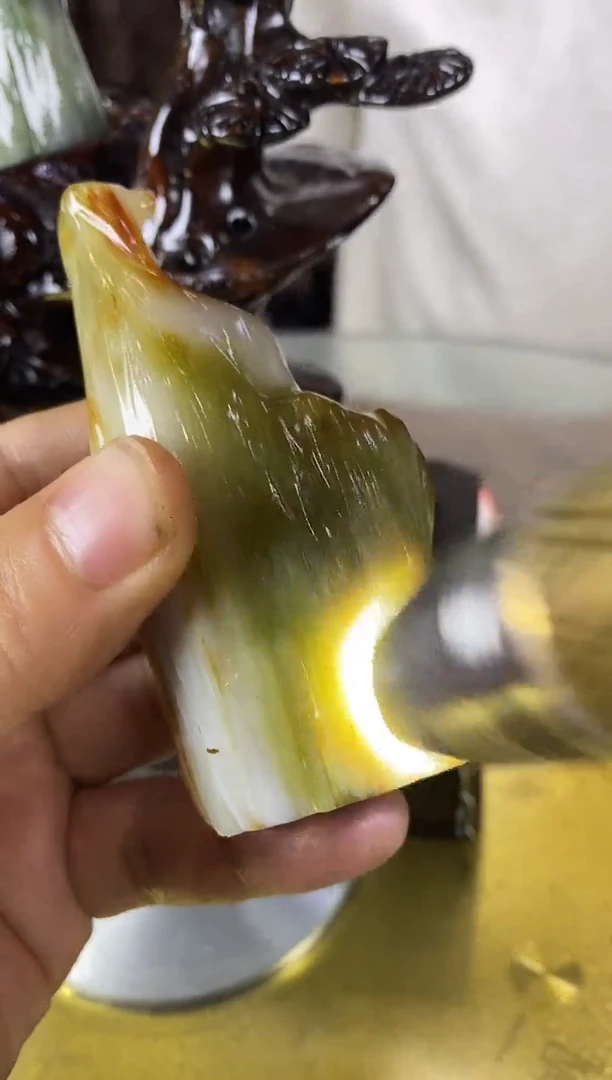 未镶嵌珠宝奇石硅化玉缅甸天然树化玉把件