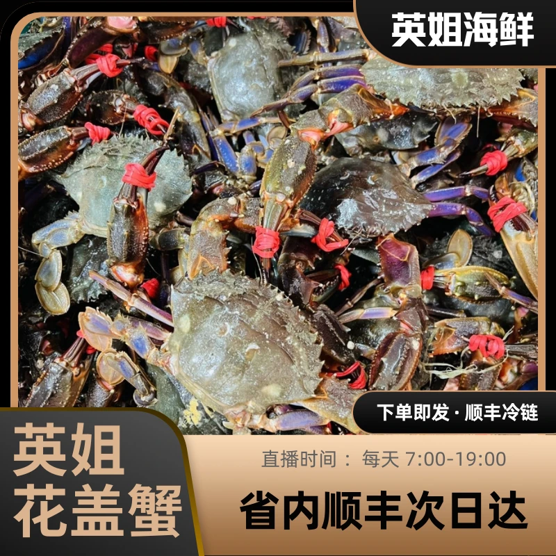 东港断氧花盖蟹2斤起公母混 仅限沈阳市内五区下单【保鲜不保活】