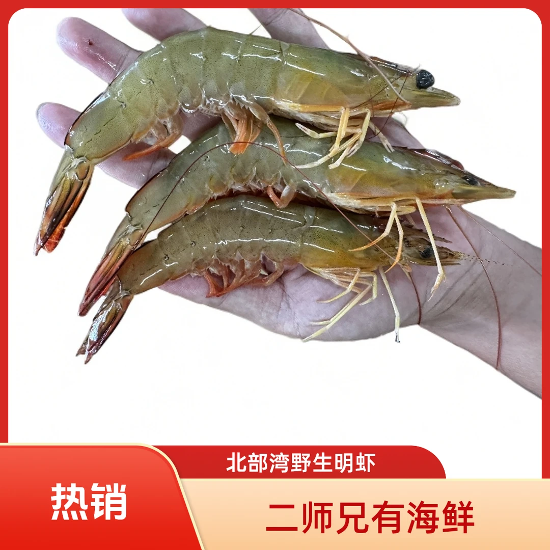 《北部湾海域》野生明虾 白对虾  金钩虾  速冻冷链发货