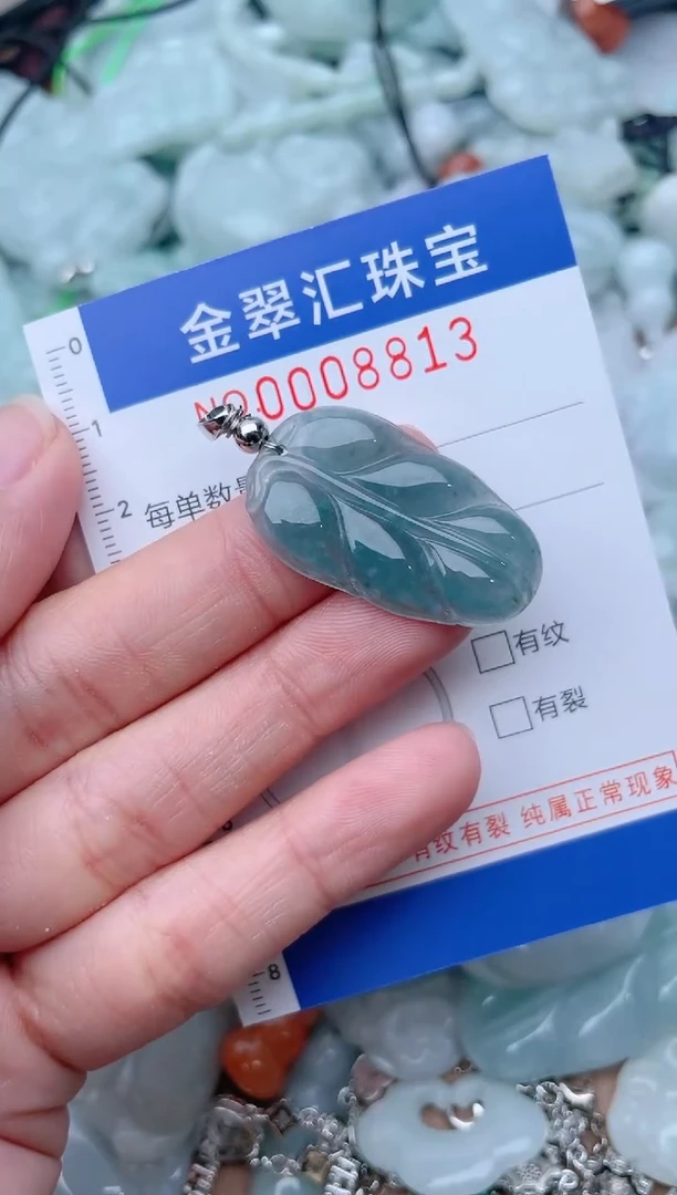 颈饰未镶嵌翡翠8813