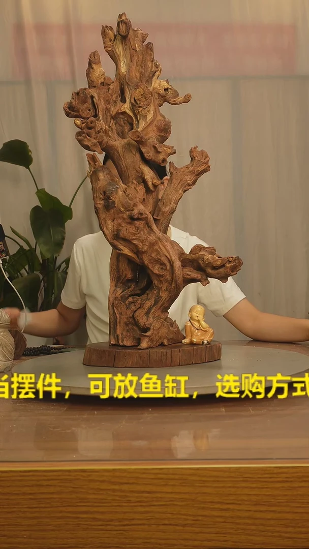 木聿*云南红河金丝红573