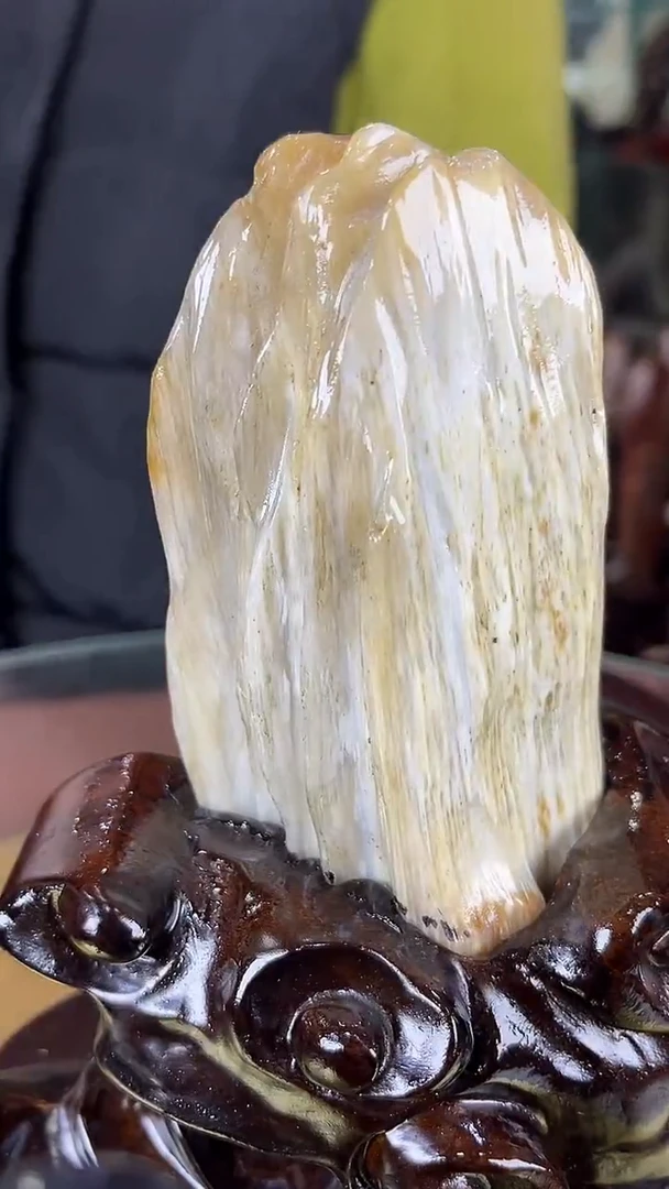 未镶嵌珠宝奇石硅化玉缅甸天然树化玉摆件