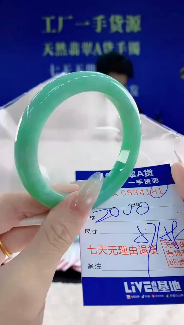 未镶嵌手镯翡翠81