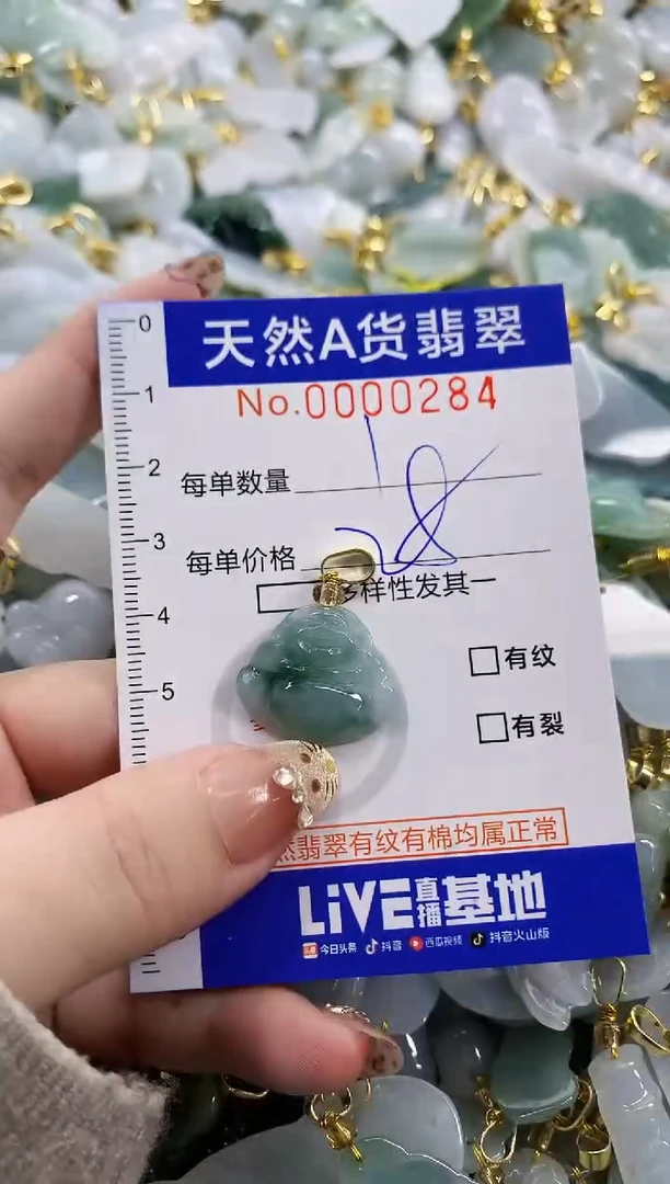 颈饰未镶嵌翡翠天然A货翡翠