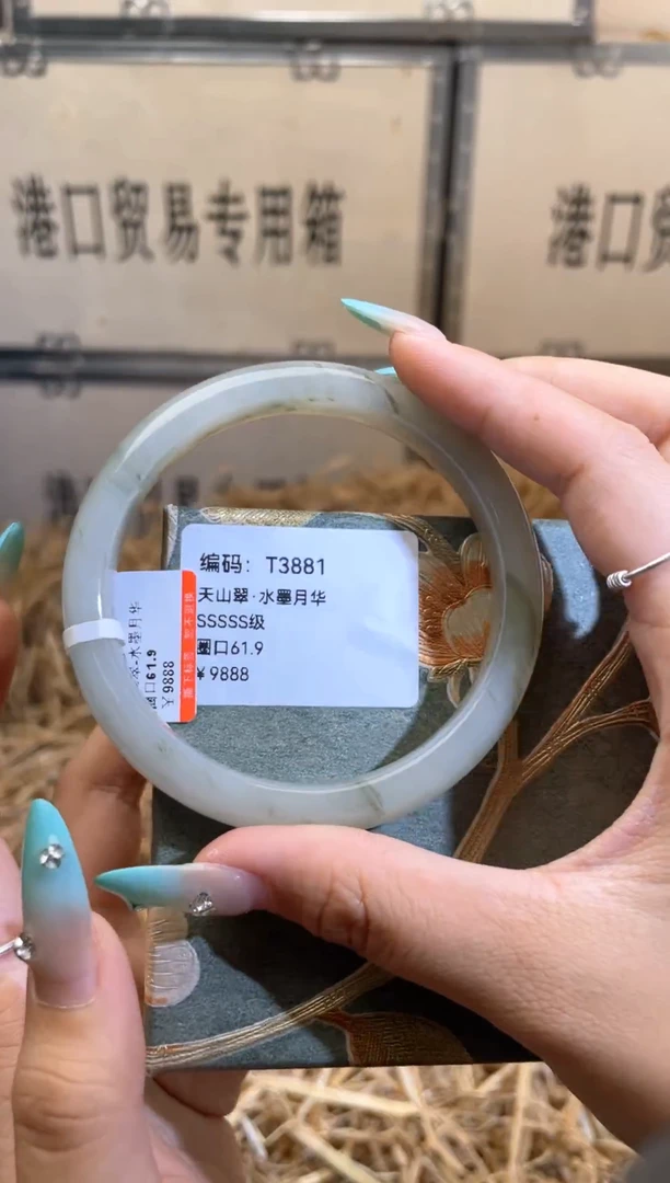 未镶嵌手镯石英质玉T3881