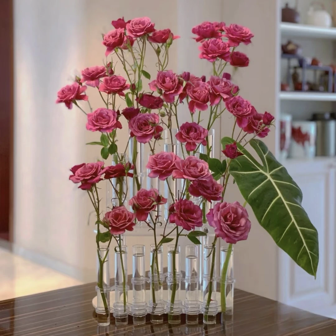 网红爆款高档透明玻璃试管花瓶水培花瓶插花水养玻璃花器皿高级感