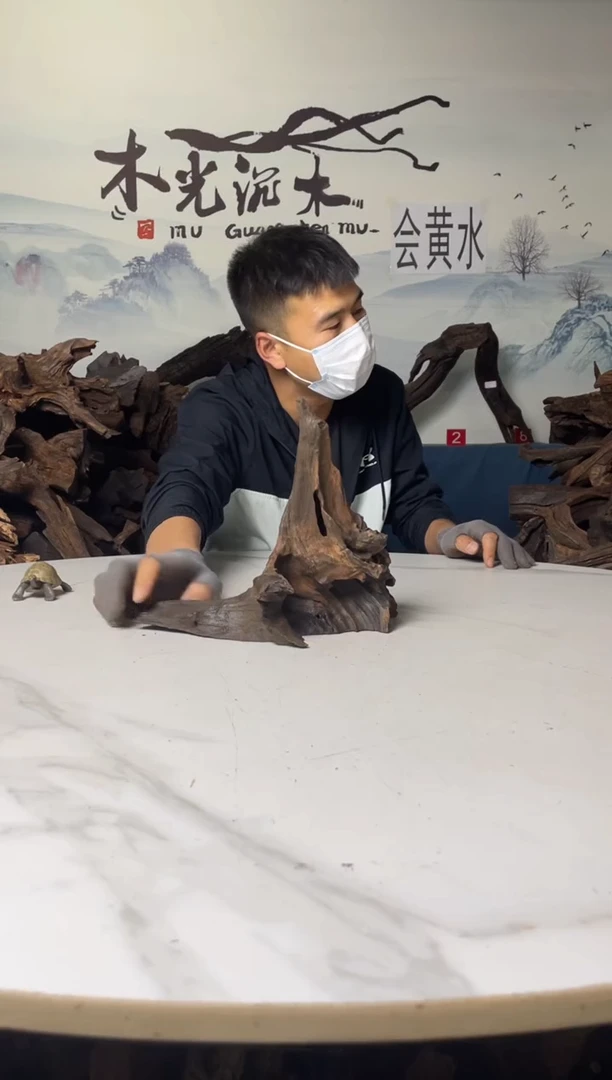 a652木光沉木木光沉木652