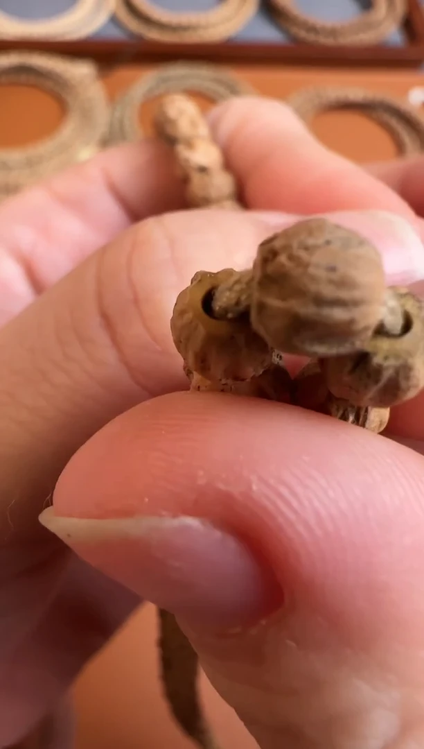 【闪购商品】柏香籽/百香籽吊坠tg0137