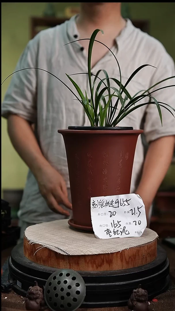 紫砂花盆花卉园艺9655+z