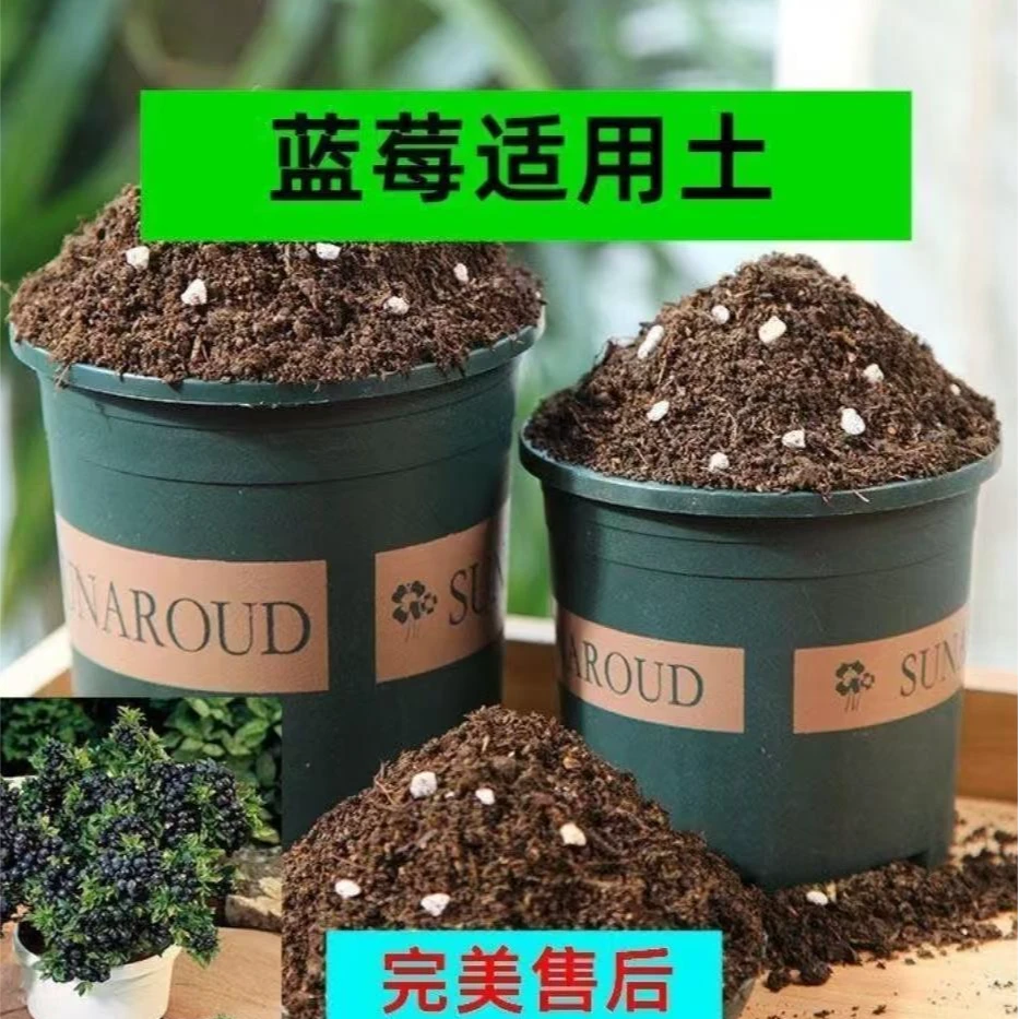 营养土蓝莓树苗专用土阳台盆栽透气育苗专用土
