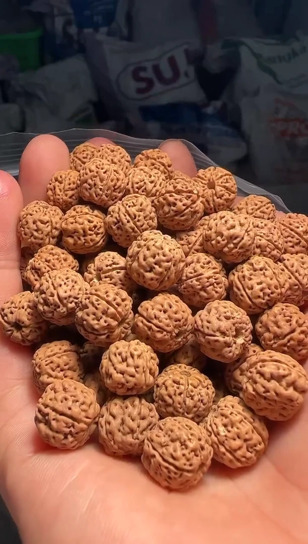 手串金刚菩提非全品天价蜂巢散籽12-13mm一份一百颗