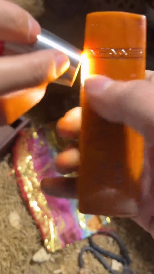 香榧木（1个黄色小印章戳）