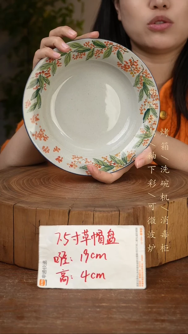 碗瓷景德镇手工手绘高温瓷釉下彩