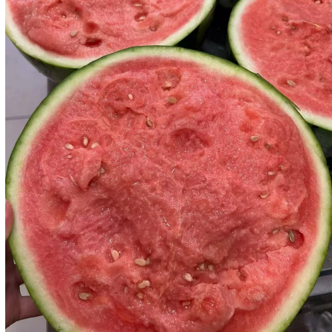 【颐和花果山】猴哥俩西瓜半个泰州市