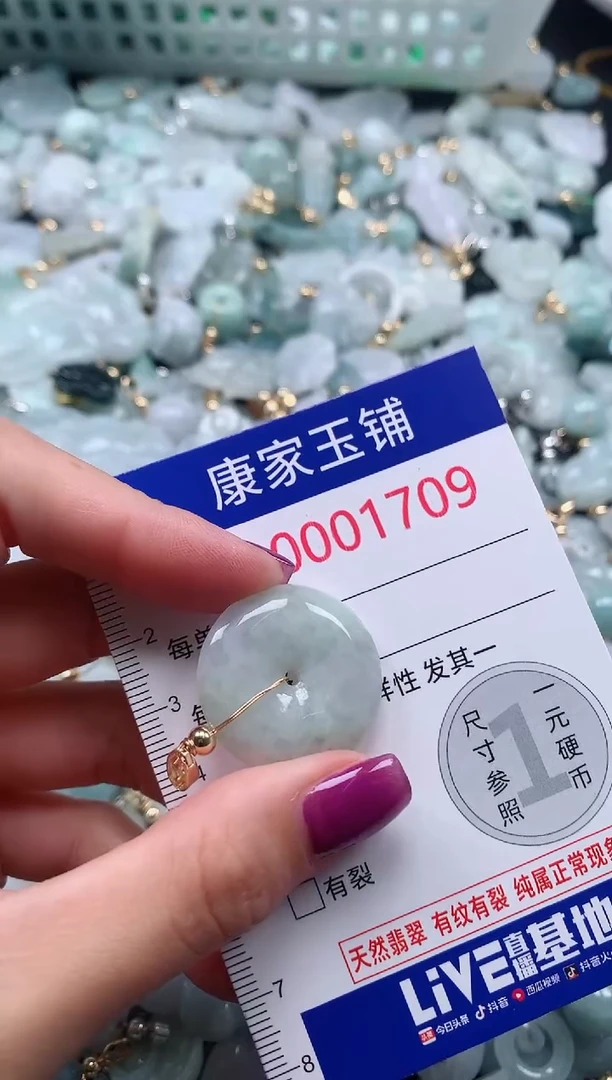 颈饰未镶嵌翡翠1709