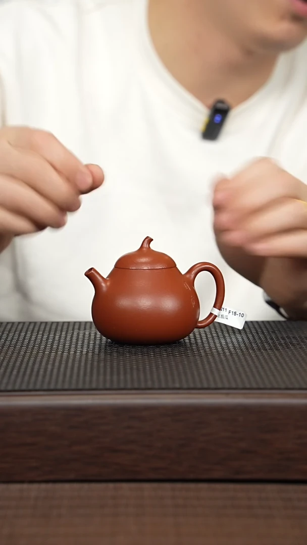 【闪购商品】紫砂茶壶源头精品手工作品30211