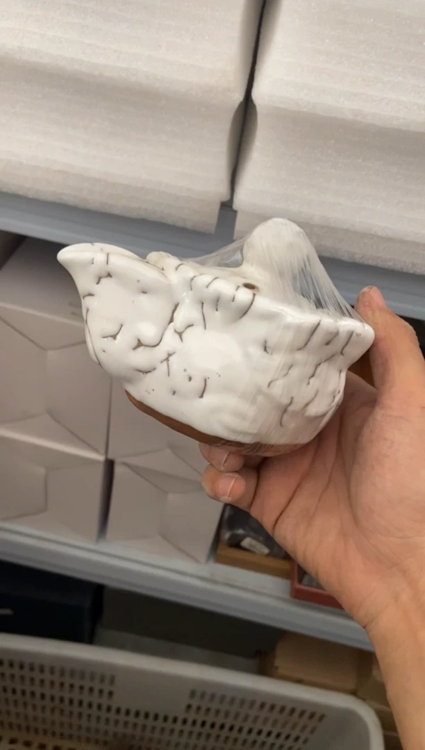 无运费险有瑕疵的摄影的产品有使用过的痕迹有点脏介意勿拍