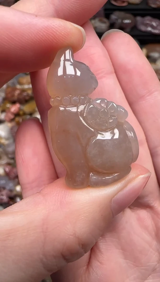 颈饰未镶嵌硅化珊瑚（珊瑚玉）134