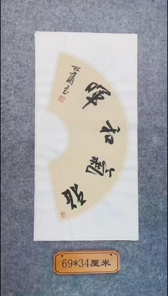 书法104中书协 杜潇书法放漏