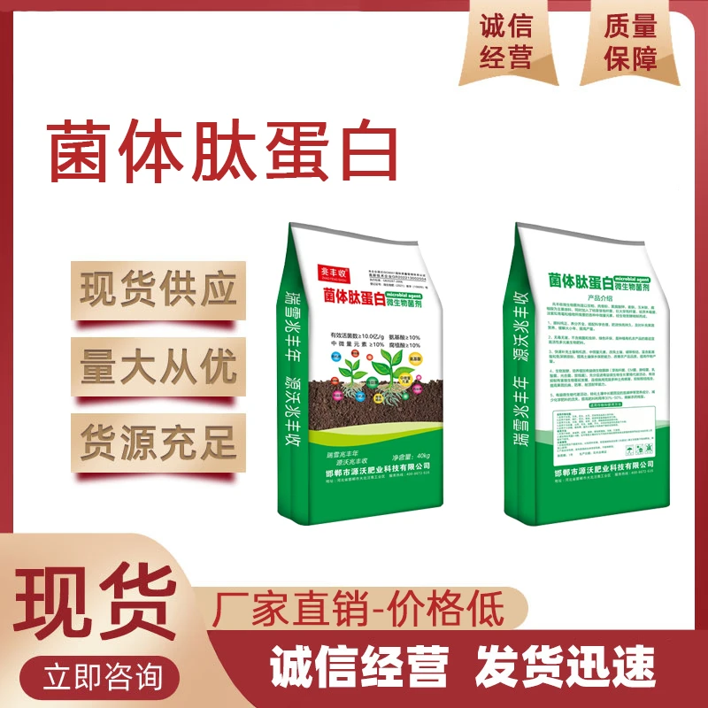 菌体肽蛋白 有效活菌数≥10.0亿/g