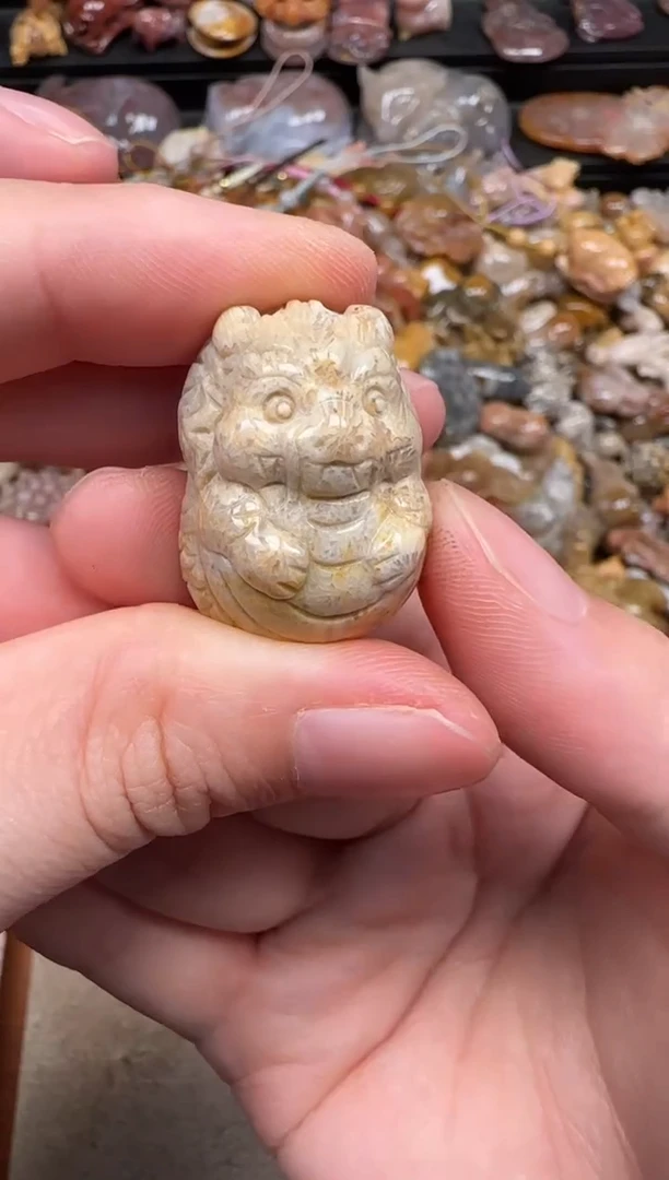 硅化珊瑚（珊瑚玉）未镶嵌颈饰069