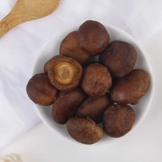 【小农专属】 南山灵芝菇脆片