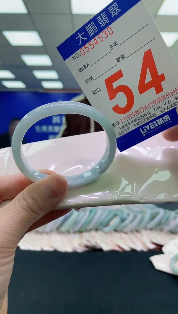 未镶嵌手镯翡翠AAAAAAAAAA