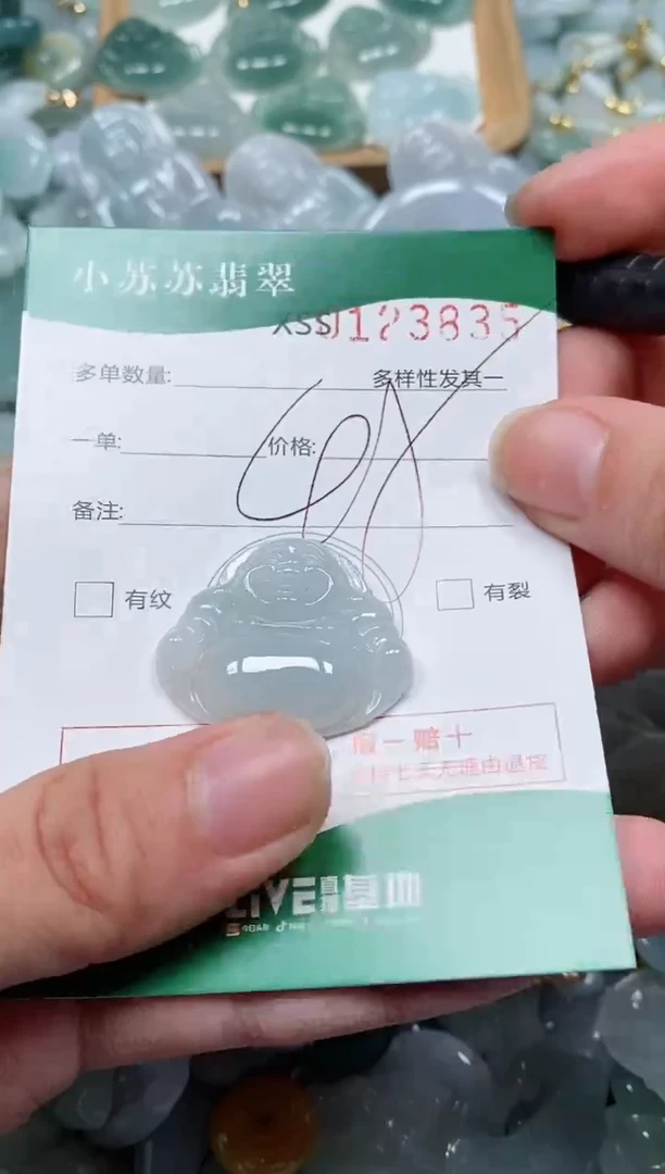 【闪购商品】翡翠颈饰未镶嵌闪购商品0123835