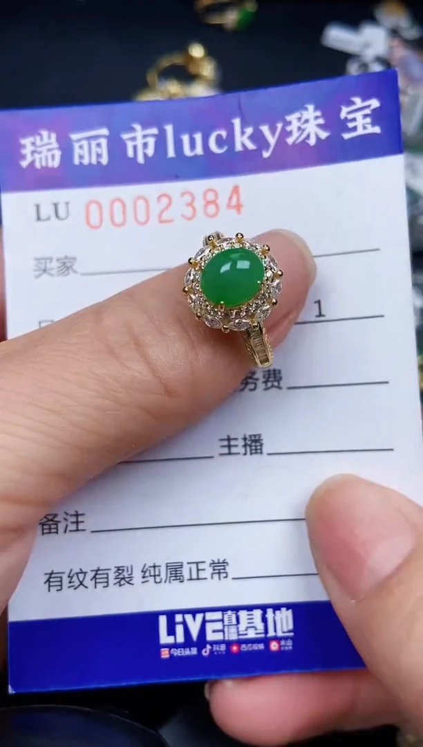 翡翠银S925镶嵌颈饰2384