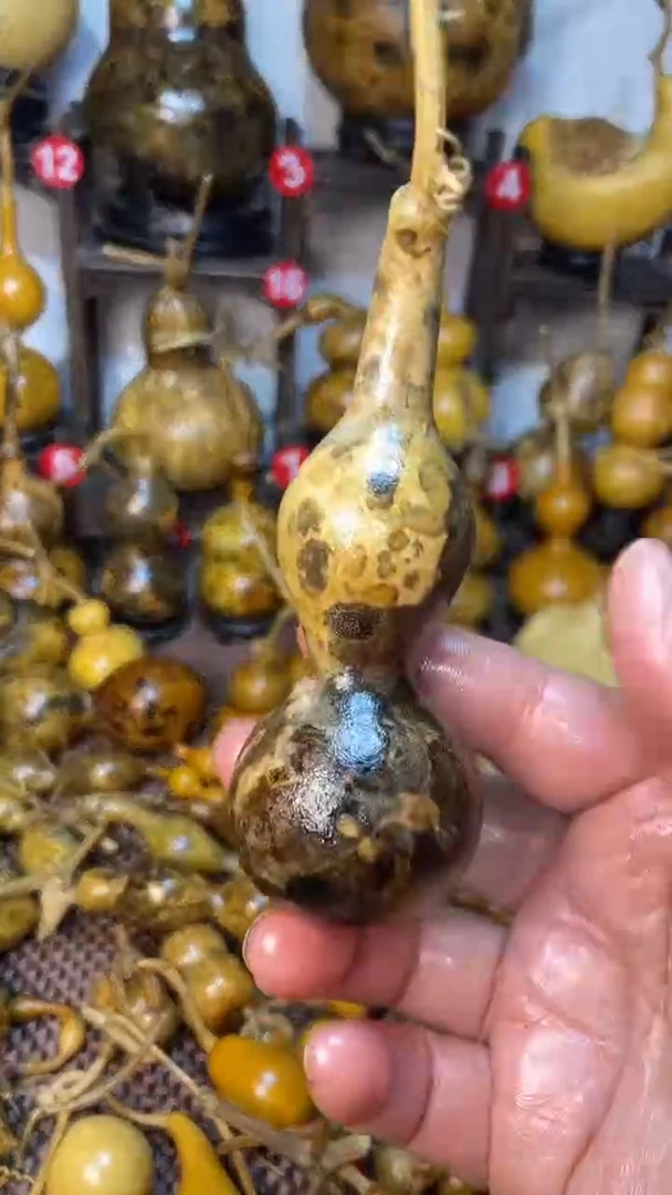 【闪购商品】葫芦葫芦葫芦葫芦葫芦葫芦