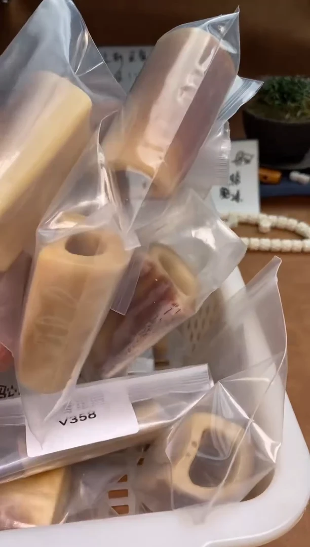 【闪购商品】驼骨其他杂件032-驼骨手把件-有棕裂