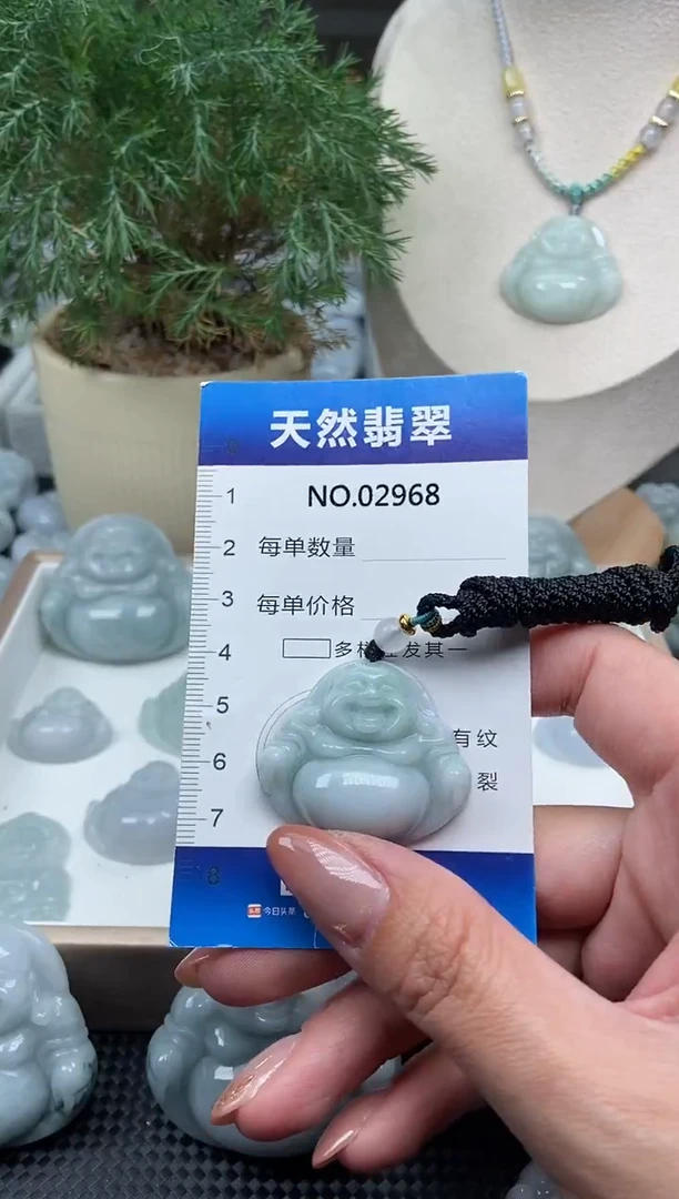 颈饰未镶嵌翡翠纯天然A货翡翠2968