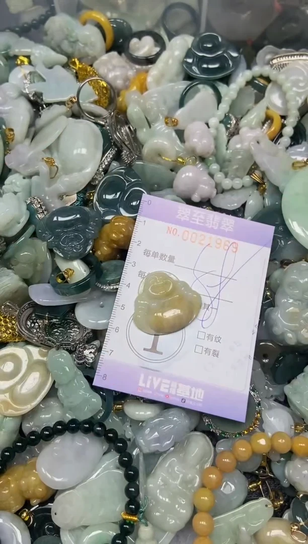 【闪购商品】翡翠颈饰未镶嵌闪购0021969