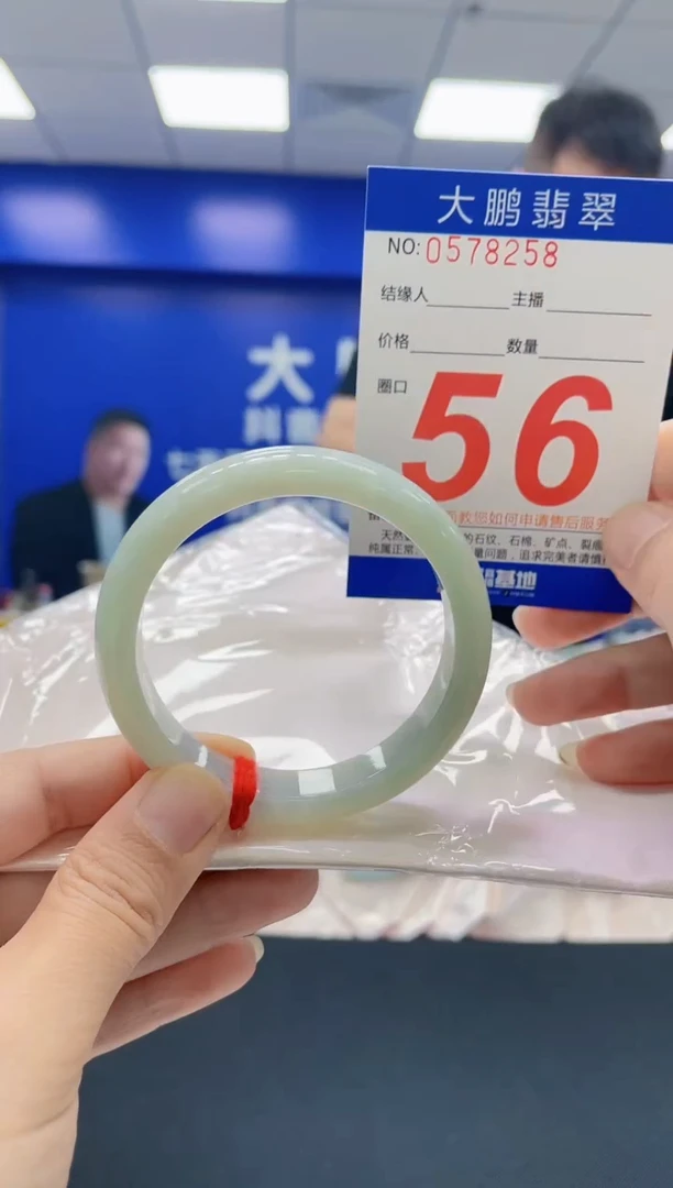 未镶嵌手镯翡翠AAAAAAAAAA