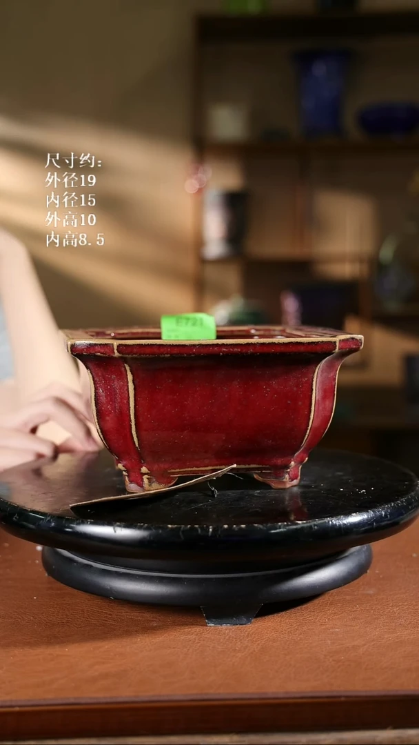 721    7.5寸倭角兰盆  家居级