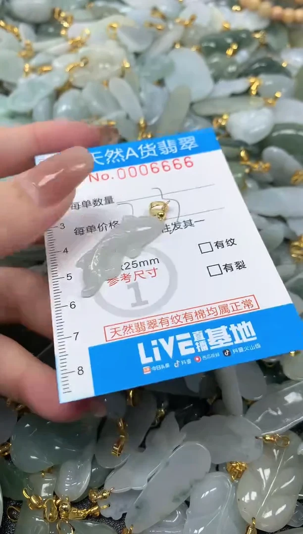 颈饰未镶嵌翡翠净货挂件-6666