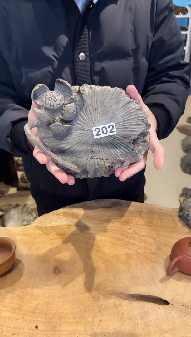 木202号乌木金丝楠壶承