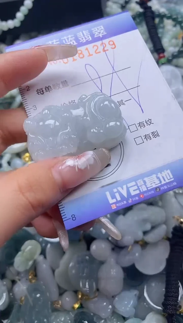 【闪购商品】翡翠颈饰未镶嵌闪购0181229