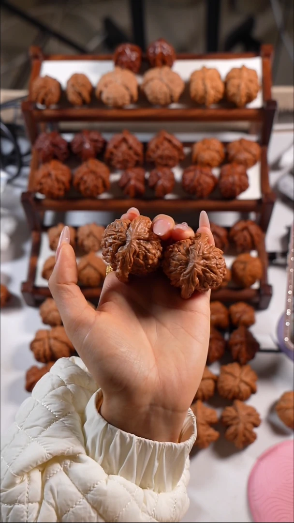 木质类龙鼎666666