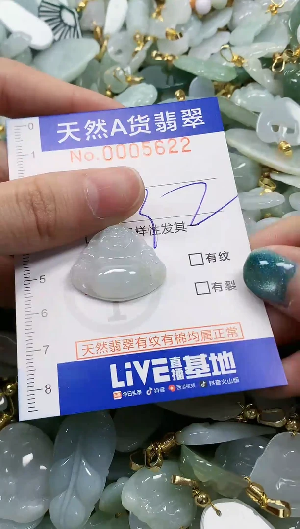 未镶嵌挂件翡翠纯天然a货翡翠